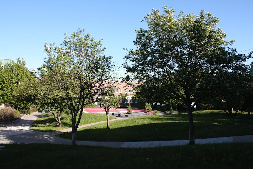 Memorial University Сент Джонс Екстериор снимка