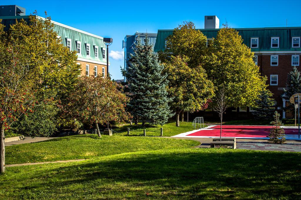 Memorial University Сент Джонс Екстериор снимка