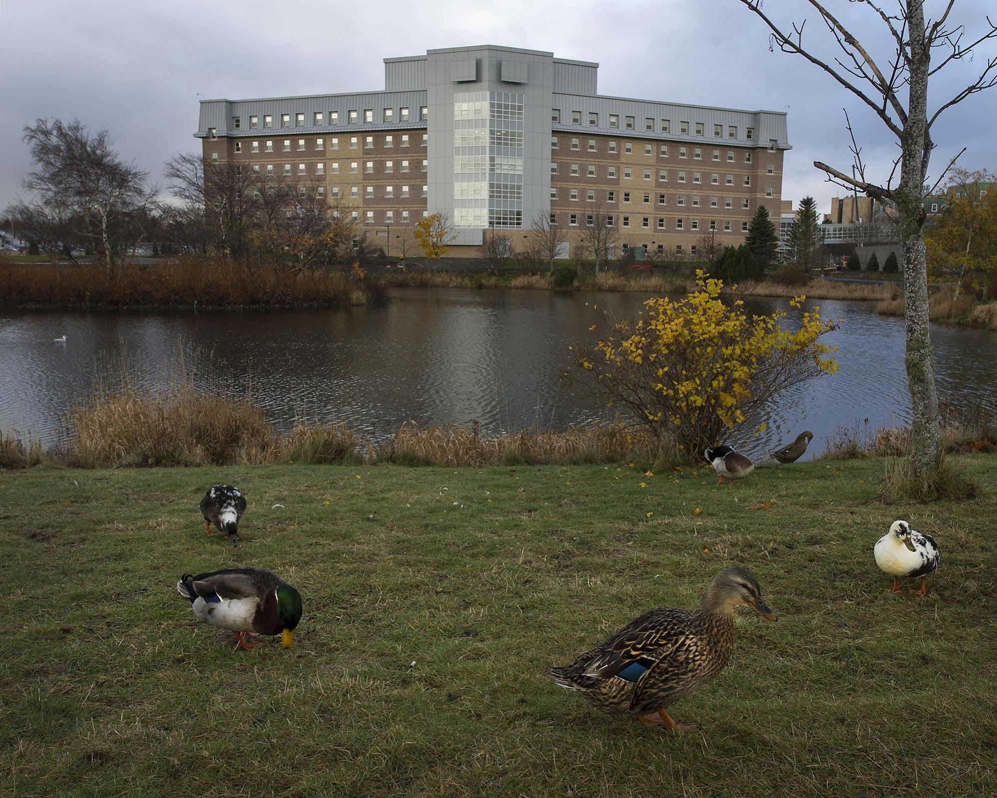 Memorial University Сент Джонс Екстериор снимка